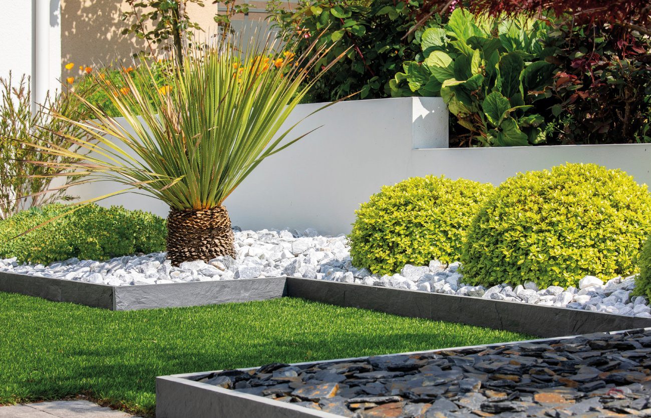 Jardin contemporain avec gazon, galets et boules de buis